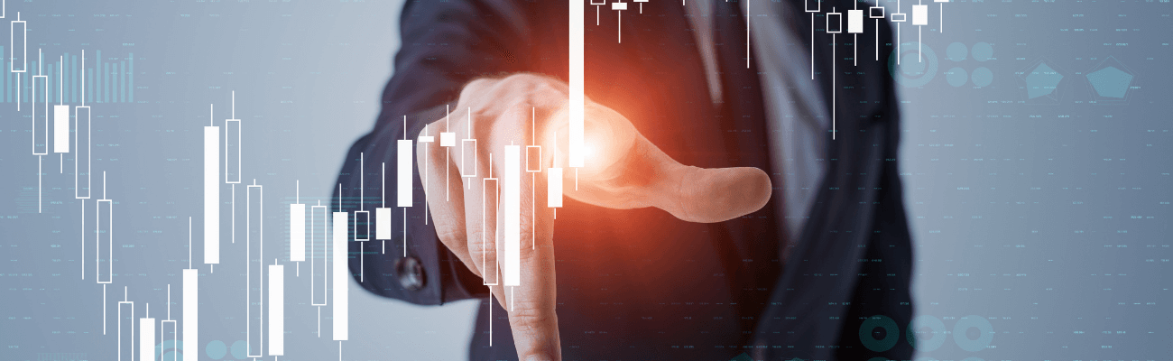 mali yonetim ve ic denetim